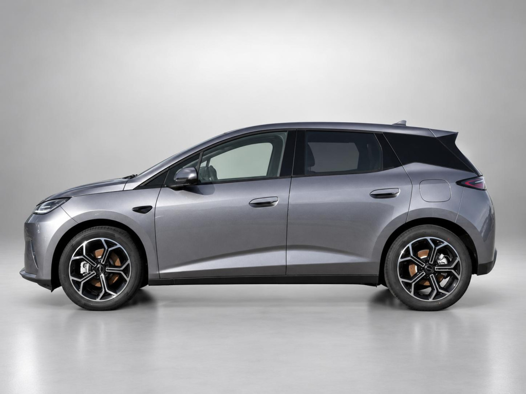 Byd Dolphin