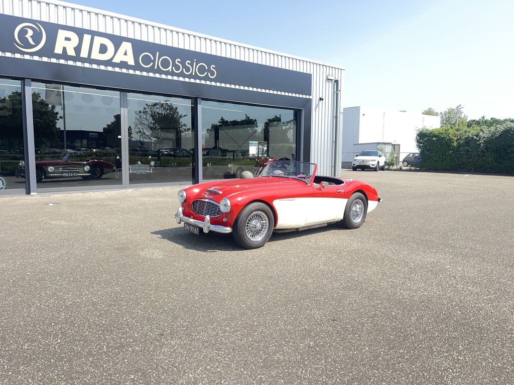 Austin Healey Onbekend