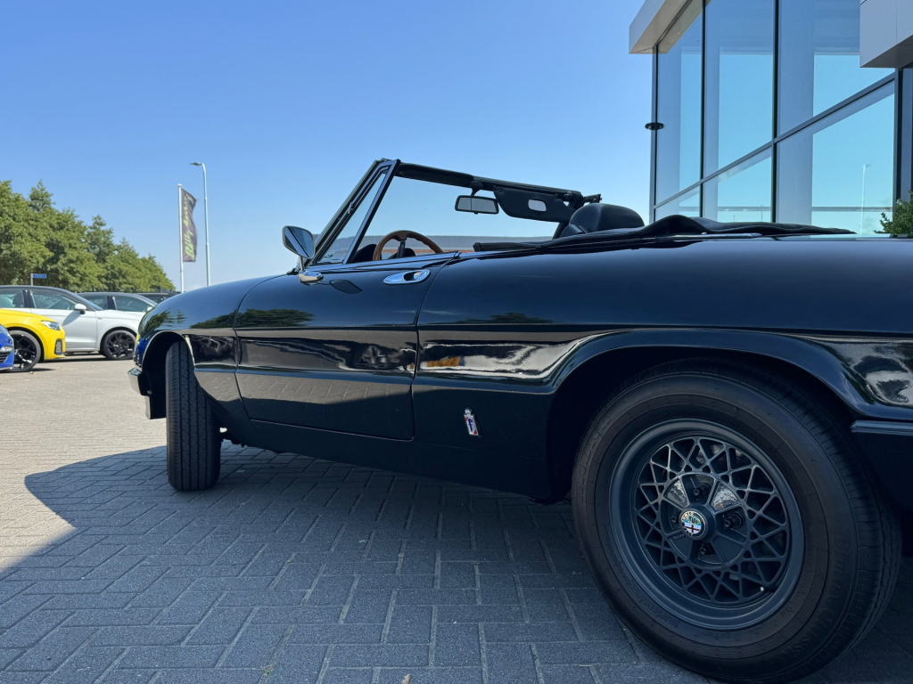 Alfa Romeo Spider