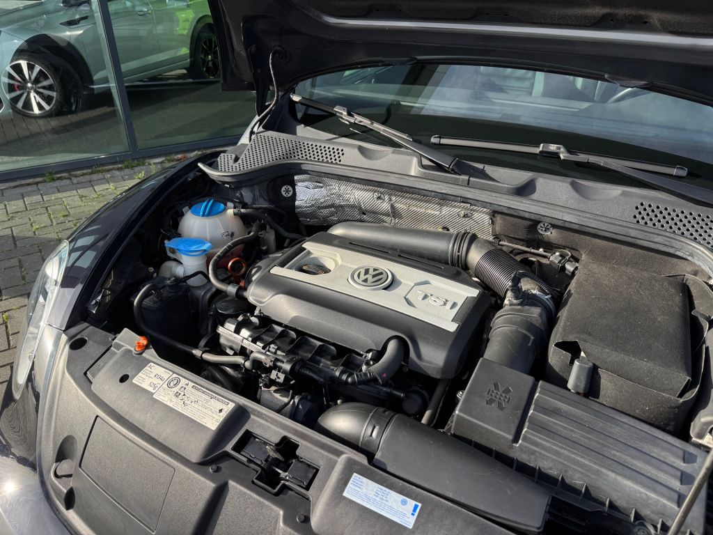 Volkswagen New Beetle