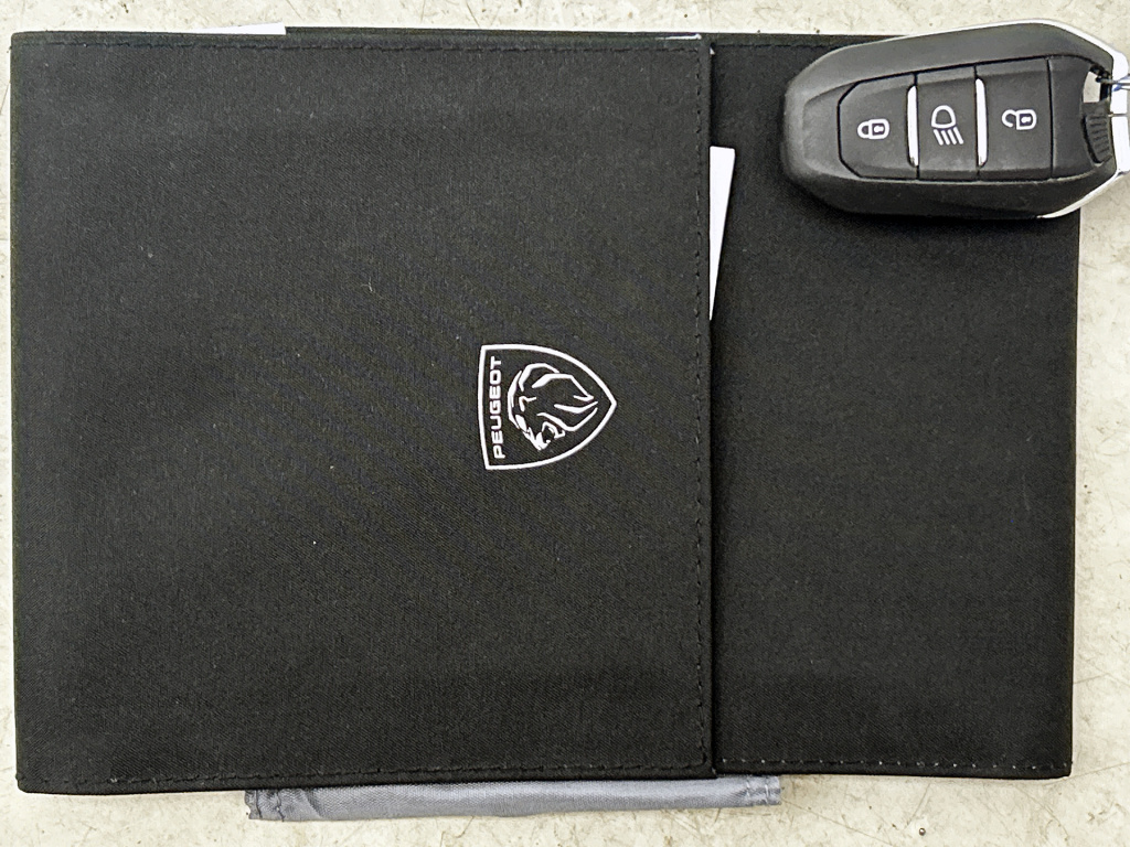 Peugeot E-2008