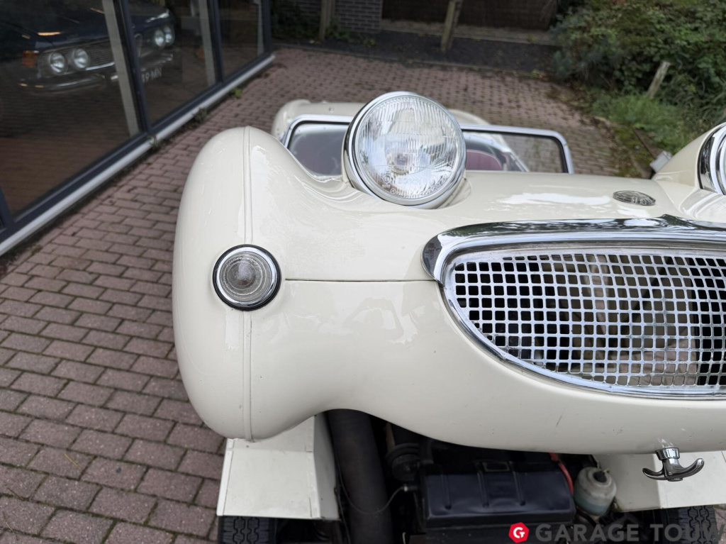 Austin Healey Onbekend