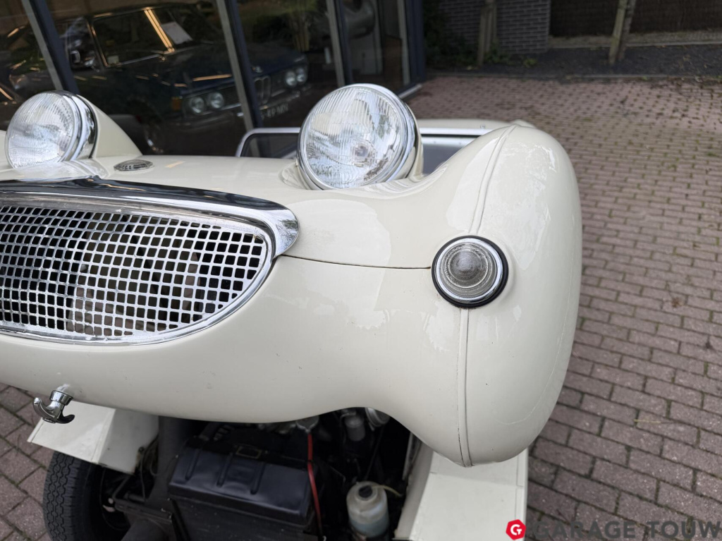 Austin Healey Onbekend