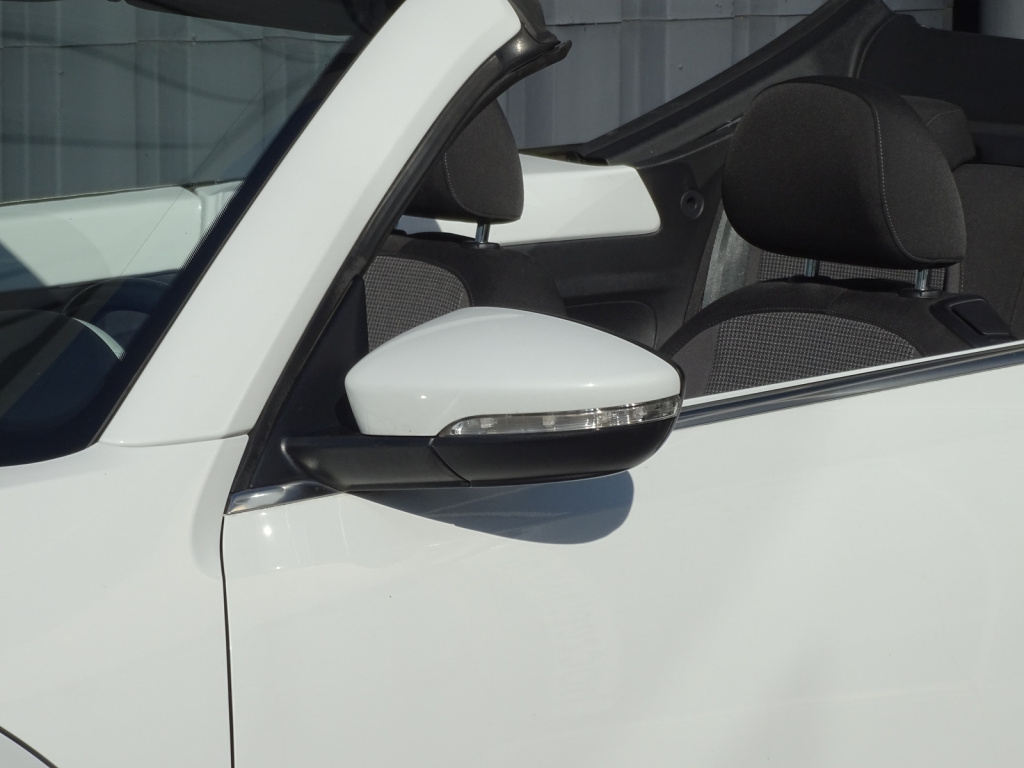 Volkswagen New Beetle