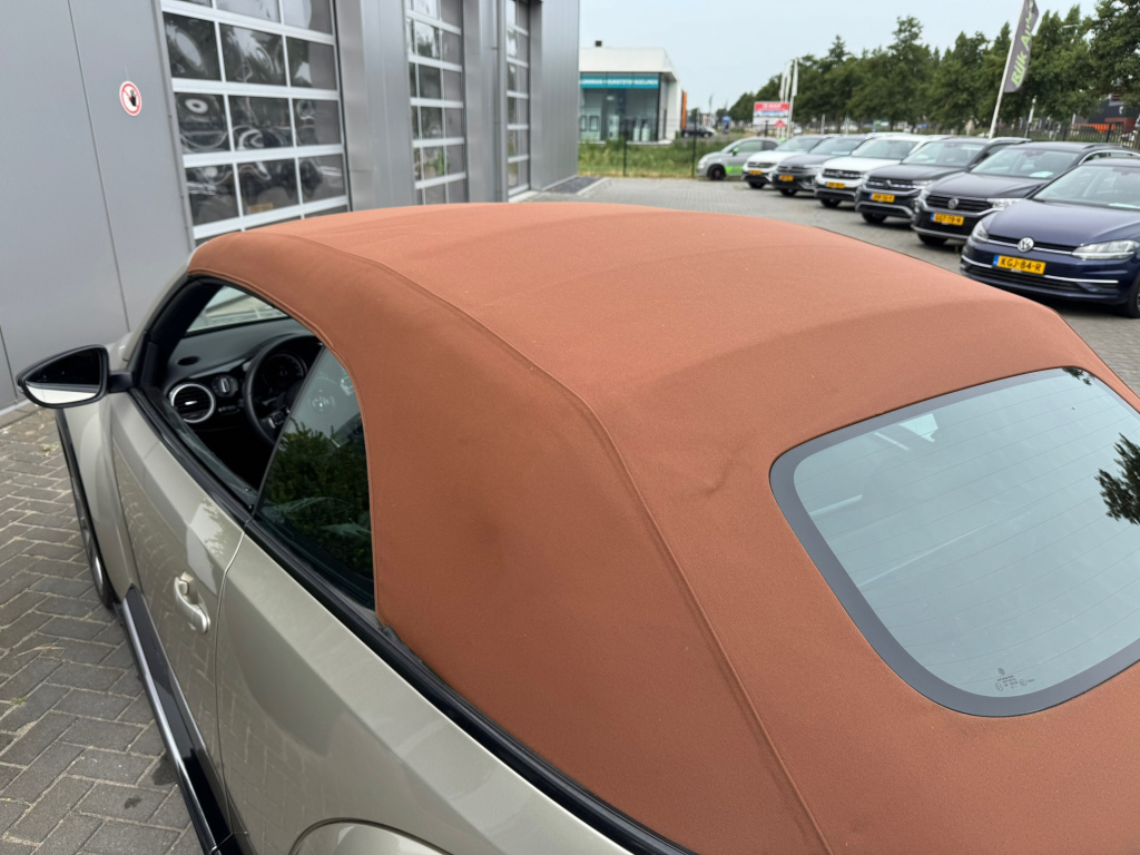 Volkswagen New Beetle