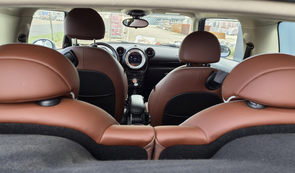Mini Paceman