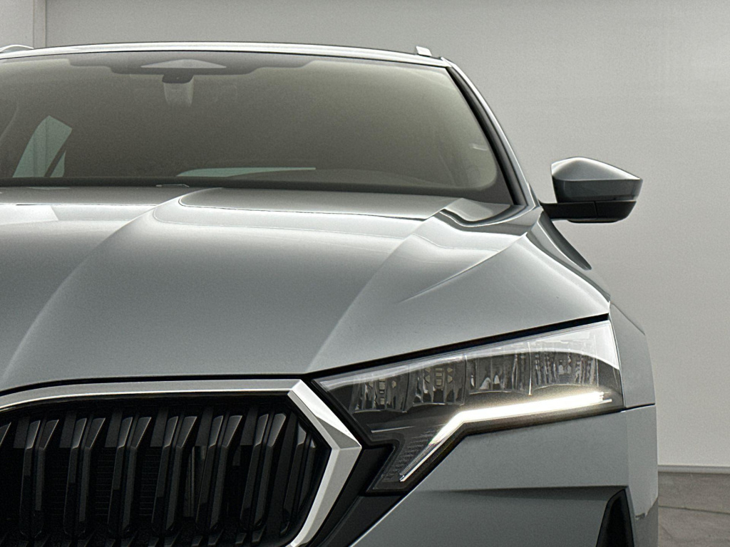 Skoda Onbekend