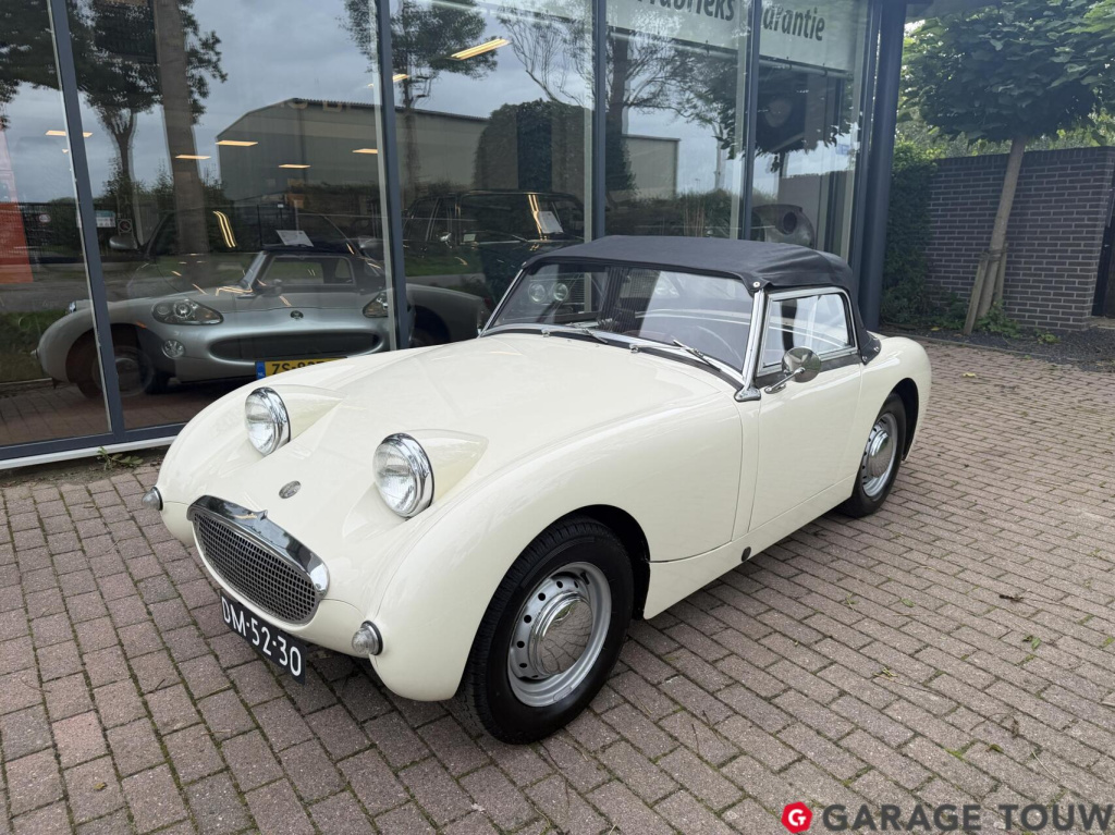 Austin Healey Onbekend