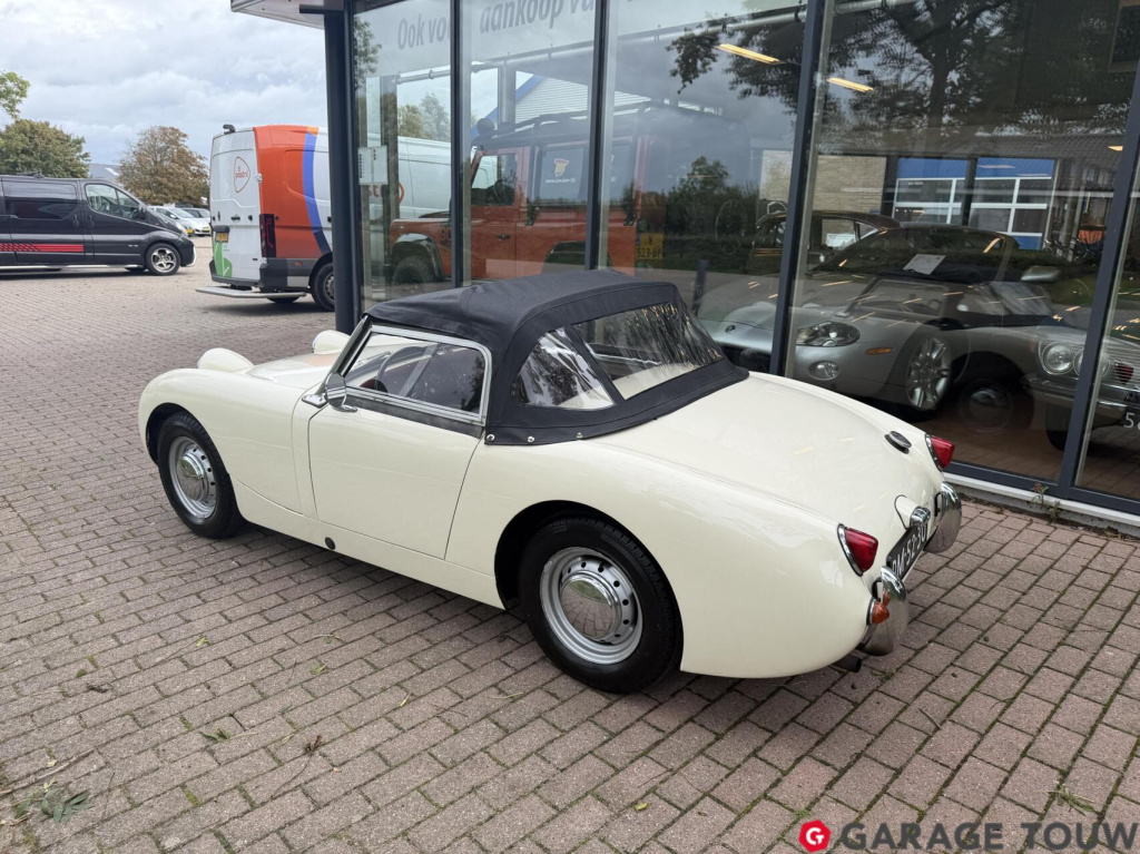 Austin Healey Onbekend