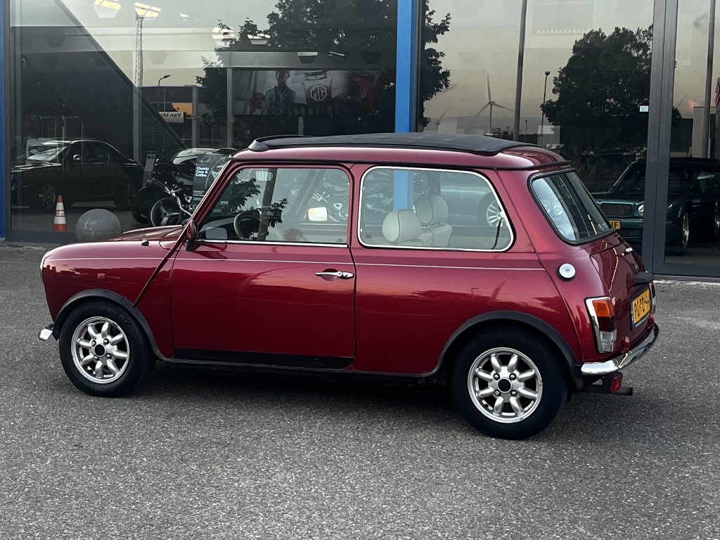 Mini Mini