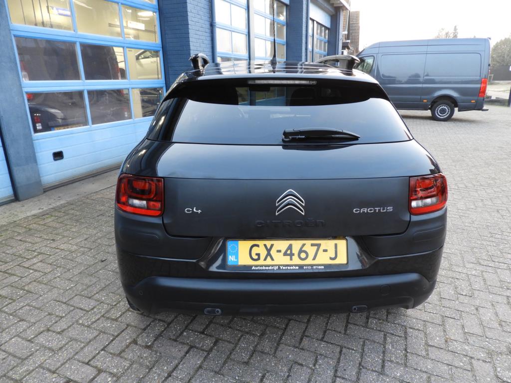 Citroen C4 Cactus