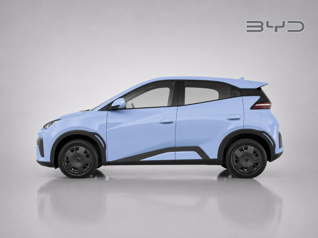 Byd Dolphin Surf