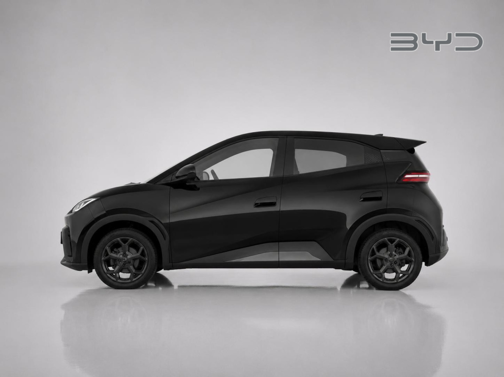 Byd Dolphin Surf