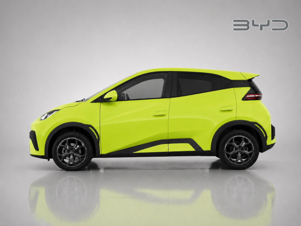 Byd Dolphin Surf