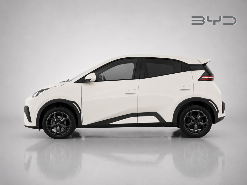 Byd Dolphin Surf