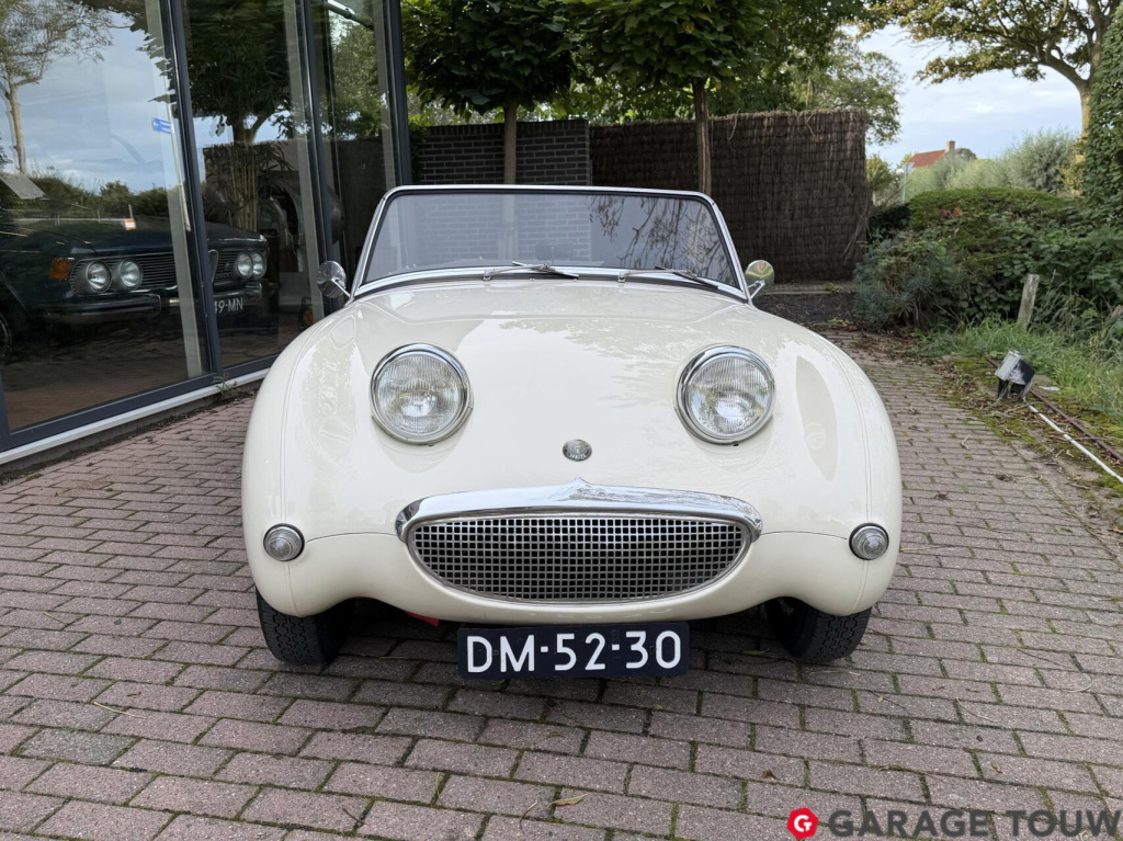Austin Healey Onbekend