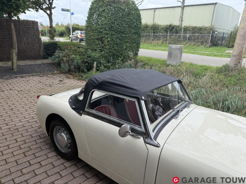 Austin Healey Onbekend