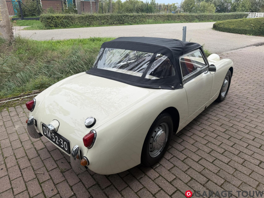 Austin Healey Onbekend