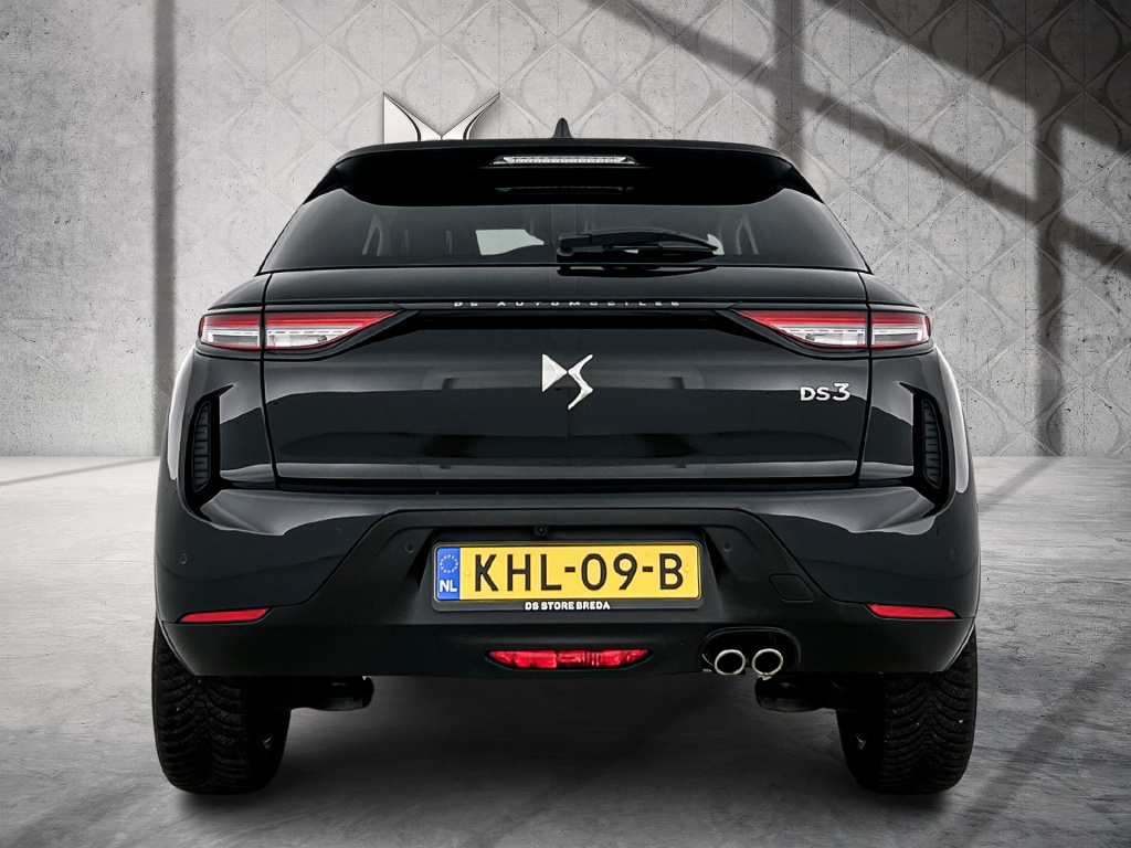 Ds Ds 3