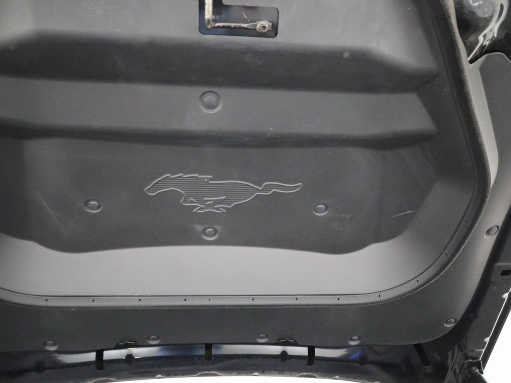 Ford Mustang Mach-e