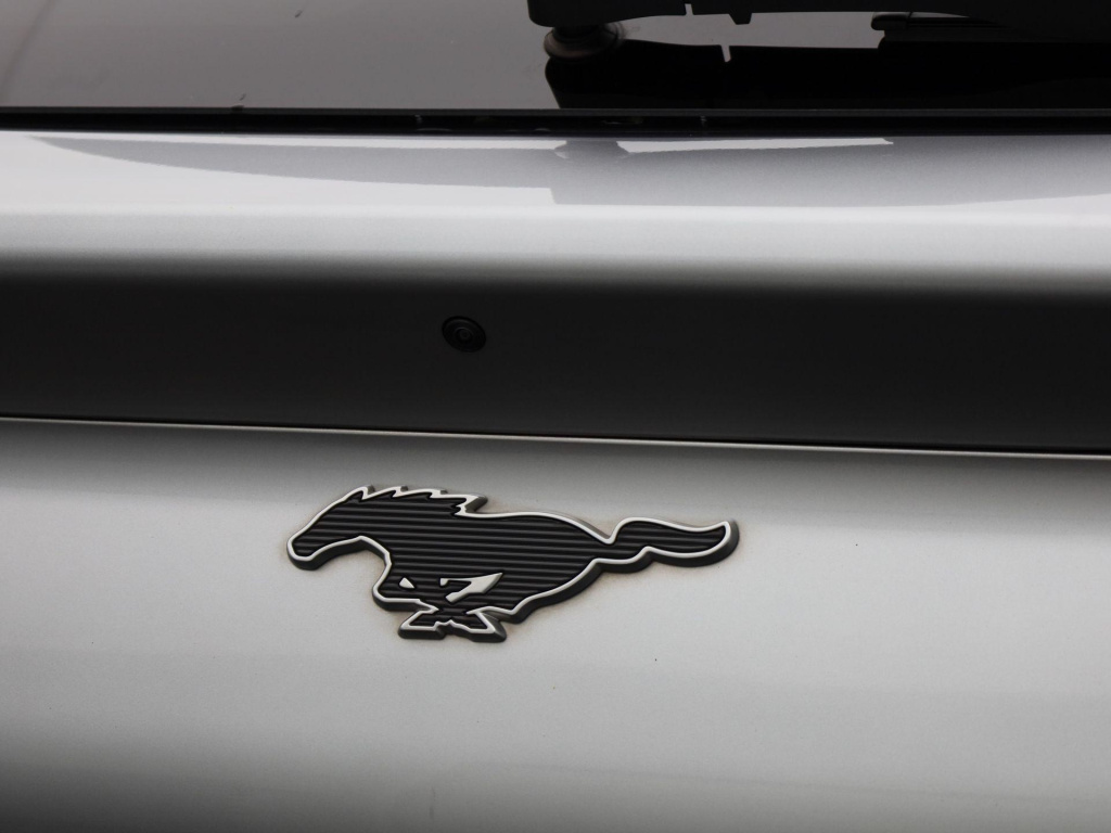 Ford Mustang Mach-e