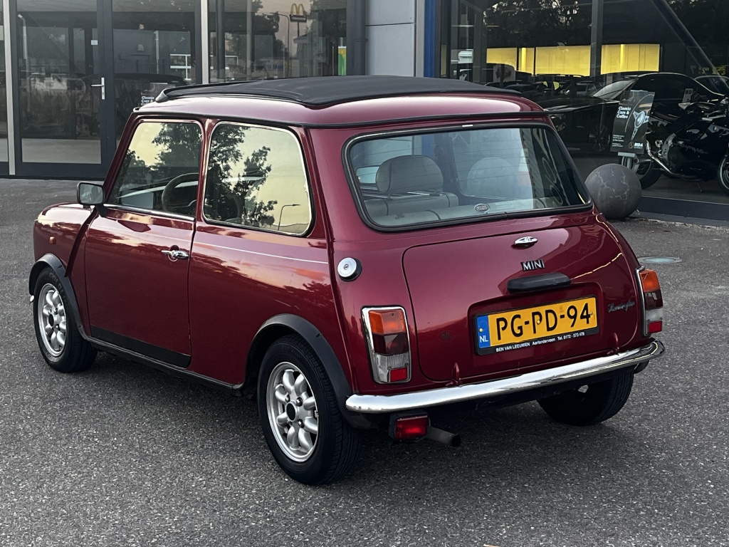 Mini Mini