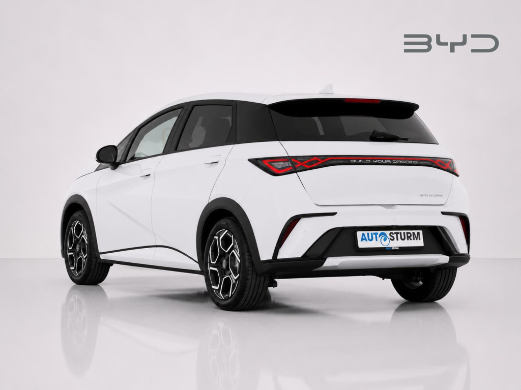 Byd Dolphin