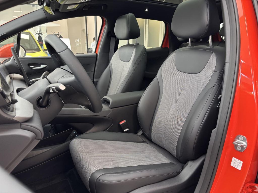 Byd Dolphin