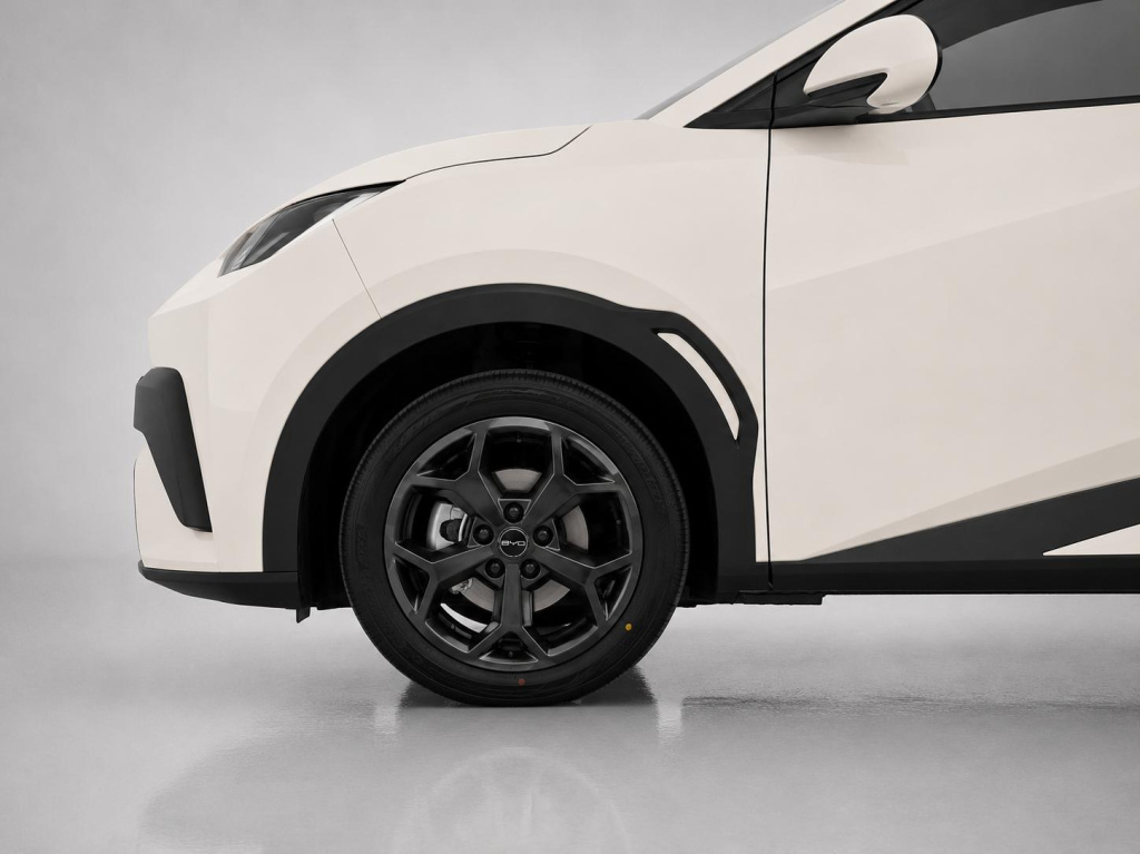 Byd Dolphin Surf