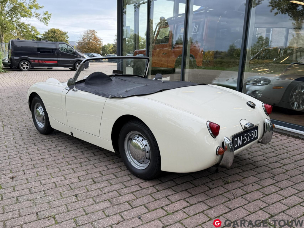 Austin Healey Onbekend