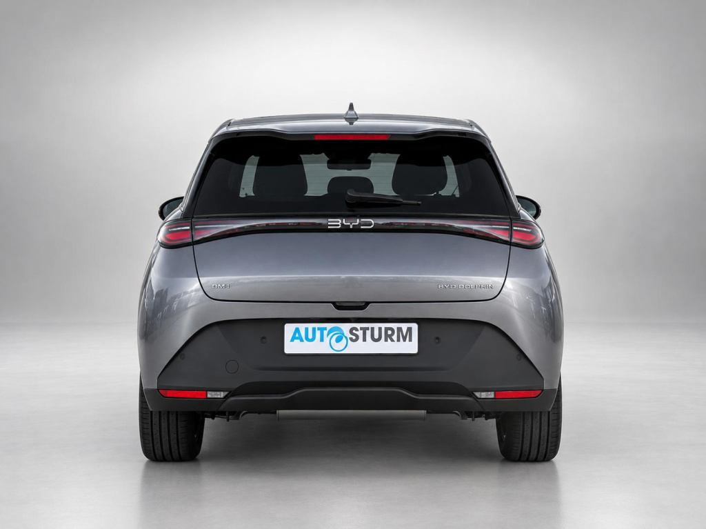 Byd Dolphin