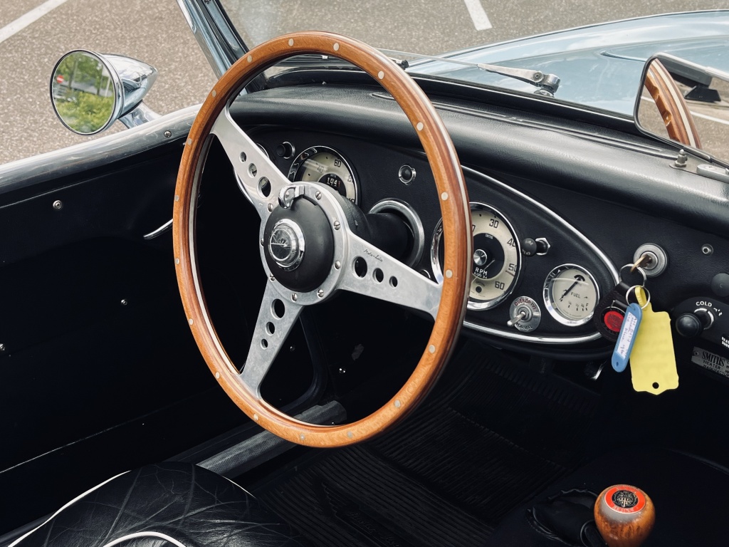 Austin Healey Onbekend