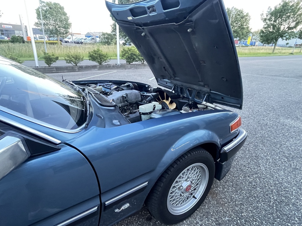 Rover Onbekend