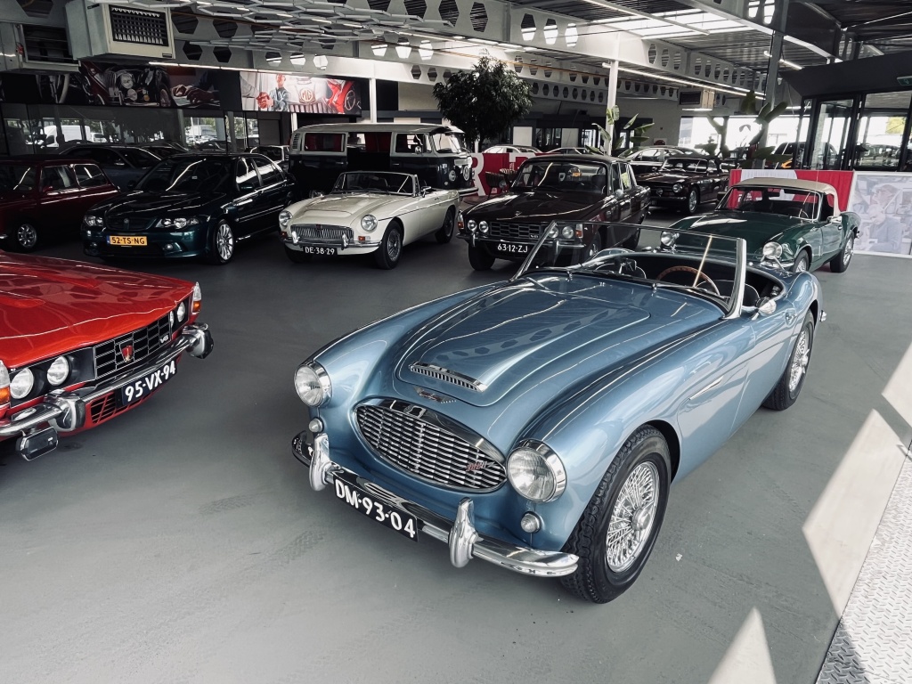 Austin Healey Onbekend