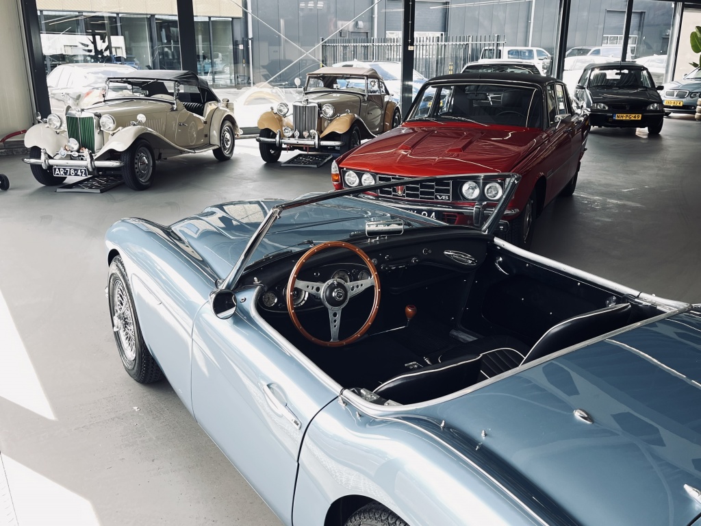 Austin Healey Onbekend
