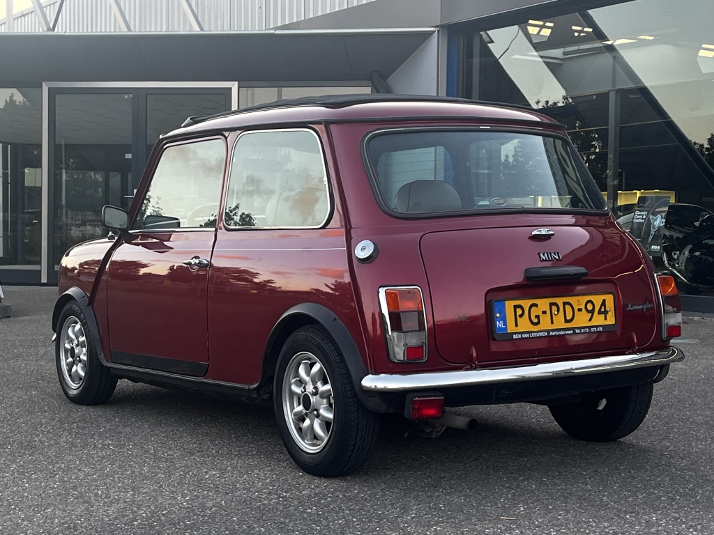 Mini Mini