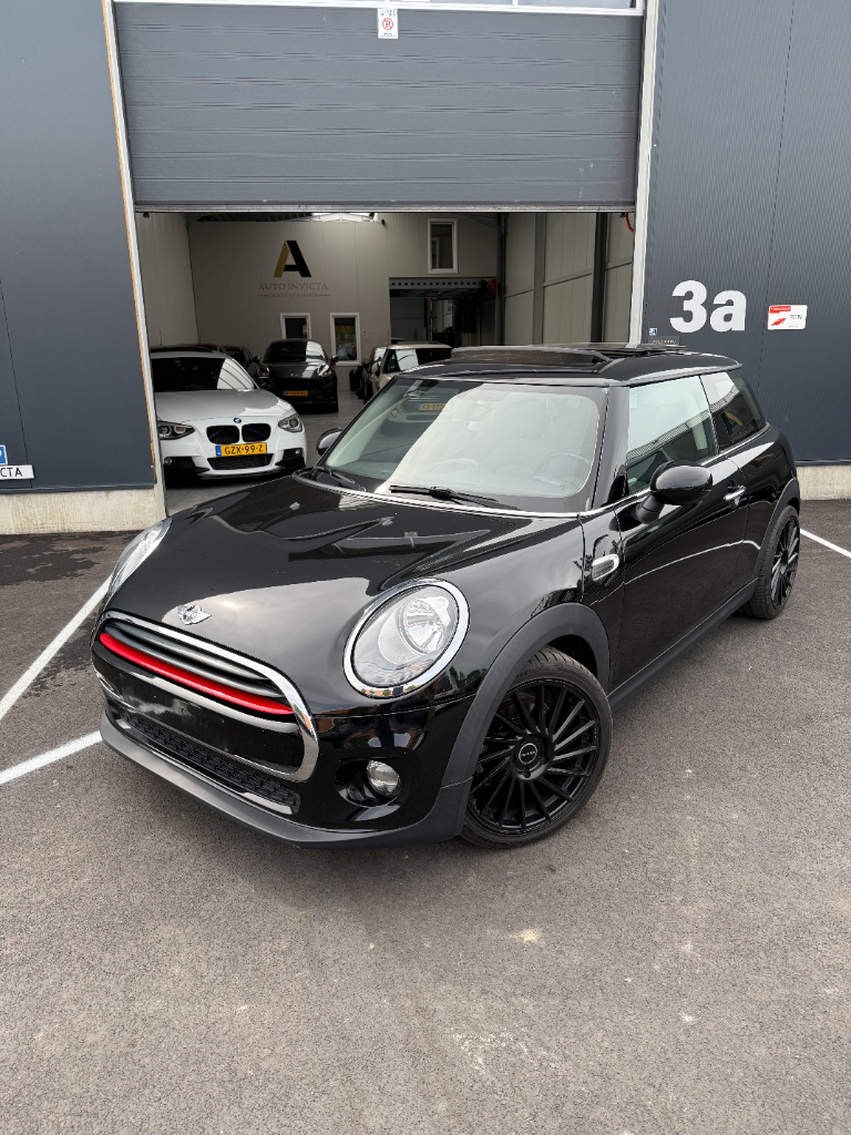 Mini One