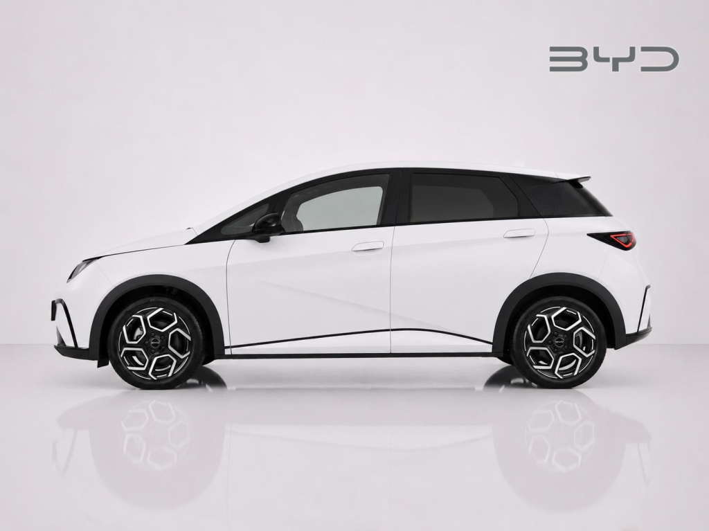 Byd Dolphin