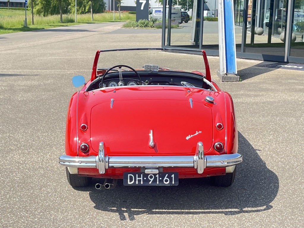 Austin Healey Onbekend
