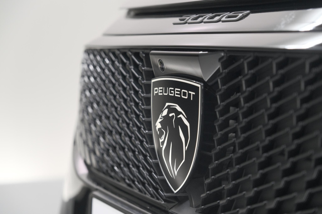 Peugeot E-3008
