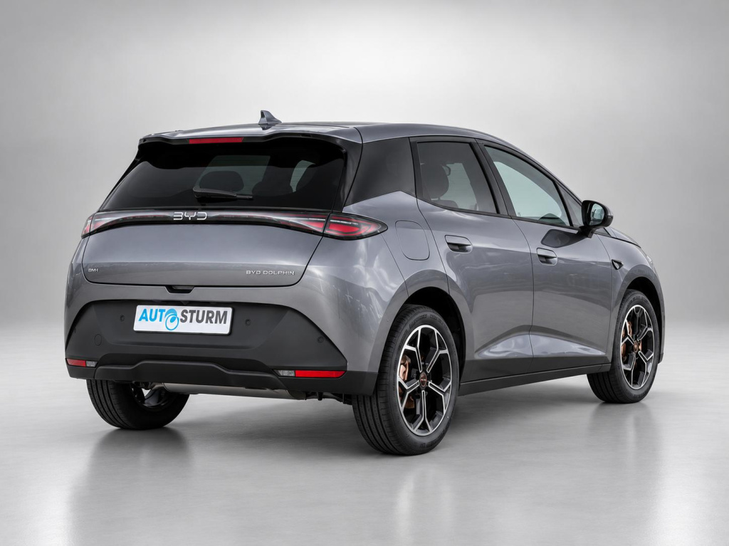 Byd Dolphin