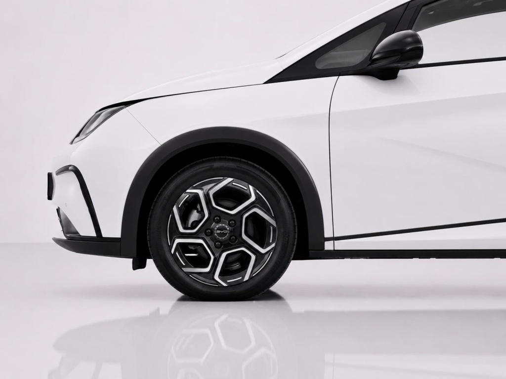 Byd Dolphin