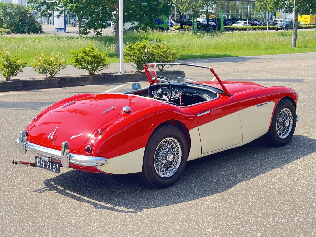 Austin Healey Onbekend