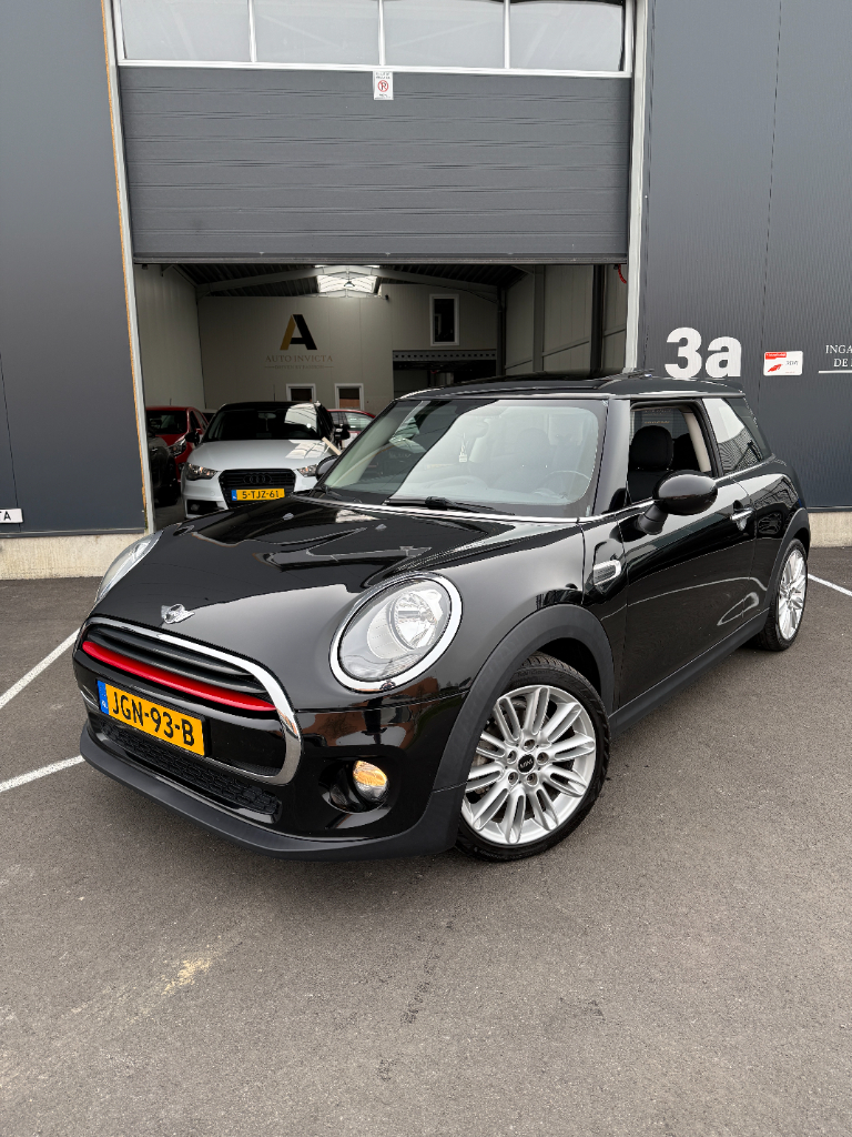 Mini One