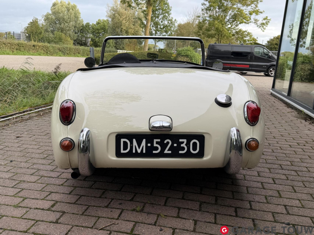 Austin Healey Onbekend