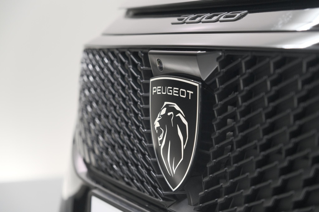 Peugeot E-3008