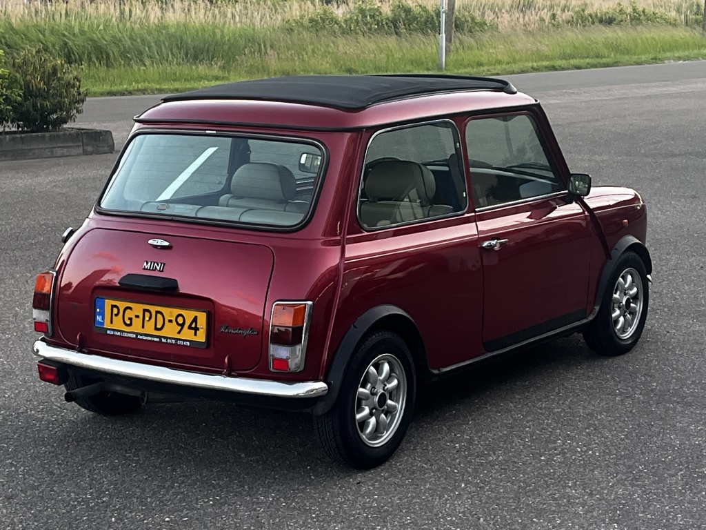 Mini Mini