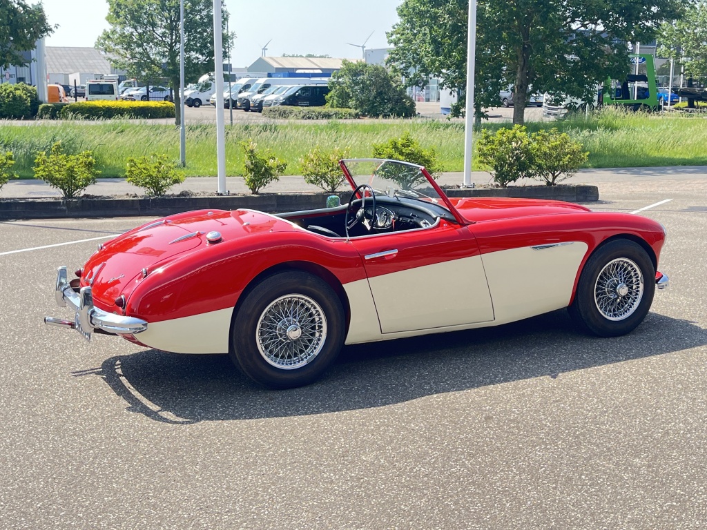 Austin Healey Onbekend