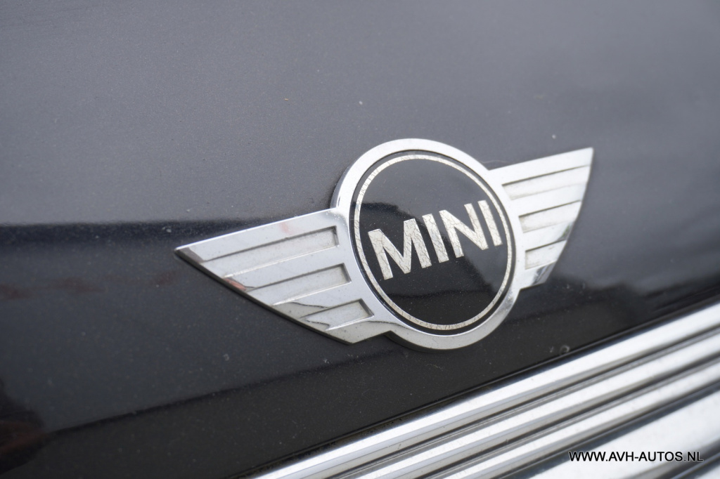 Mini 3-deurs