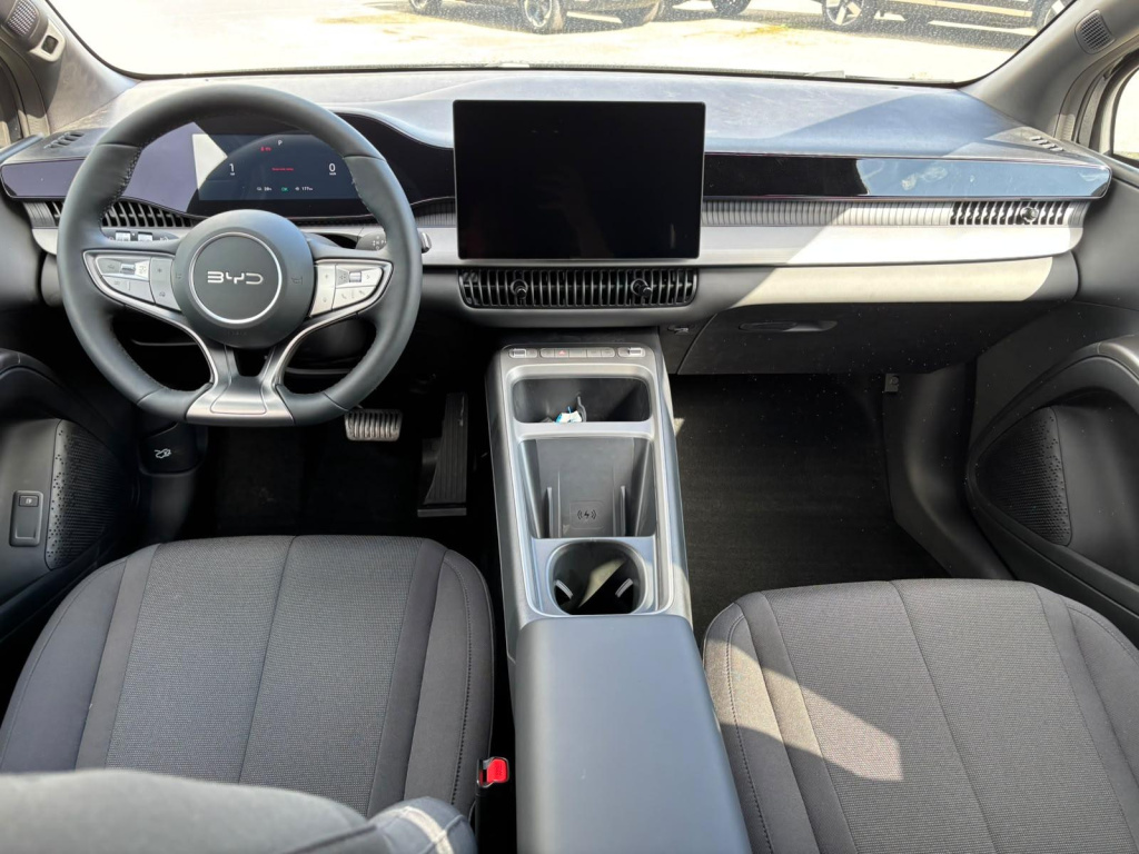 Byd Dolphin